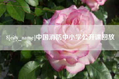贺州中国消防中小学公开课回放