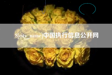贺州中国执行信息公开网
