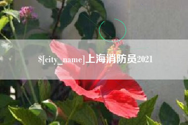 贺州上海消防员2021