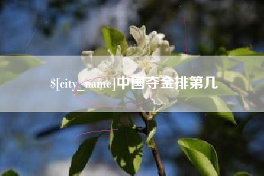 贺州中国夺金排第几