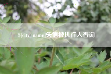 贺州失信被执行人杳询