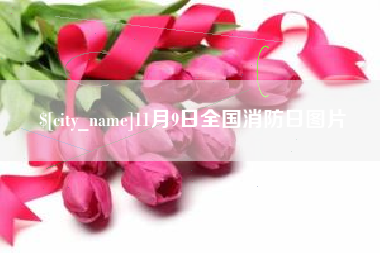 贺州11月9日全国消防日图片