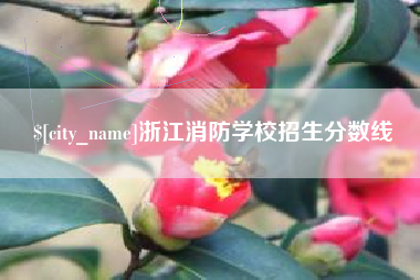 贺州浙江消防学校招生分数线