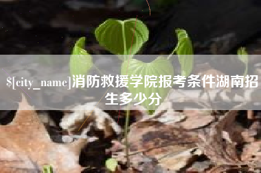 贺州消防救援学院报考条件湖南招生多少分