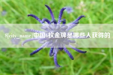 贺州中国6枚金牌是哪些人获得的