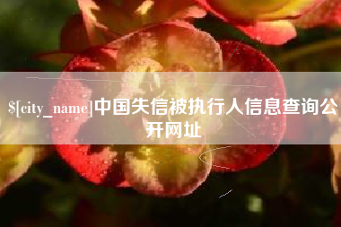 贺州中国失信被执行人信息查询公开网址