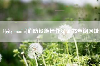 贺州消防设施操作员证书查询网址