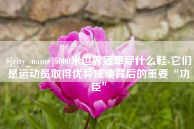 贺州5000米世界冠军穿什么鞋-它们是运动员取得优异成绩背后的重要“功臣”