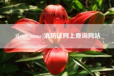 贺州消防证网上查询网站