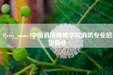 贺州中国消防救援学院消防专业招生简章
