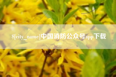 贺州中国消防公众号app下载
