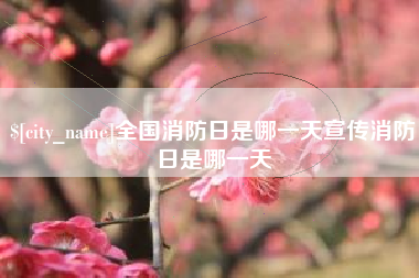 贺州全国消防日是哪一天宣传消防日是哪一天