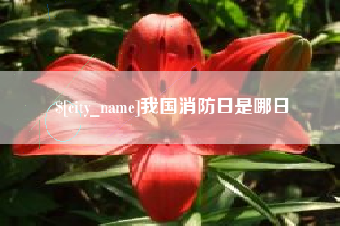 贺州我国消防日是哪日