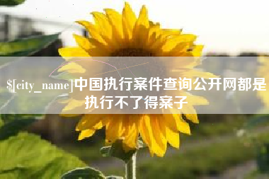 贺州中国执行案件查询公开网都是执行不了得案子
