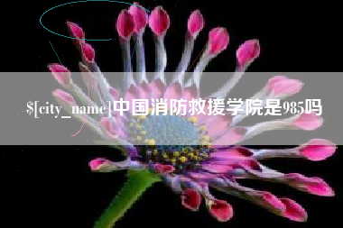 贺州中国消防救援学院是985吗