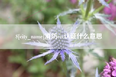 贺州消防ccc认证什么意思
