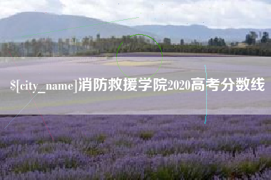 贺州消防救援学院2020高考分数线