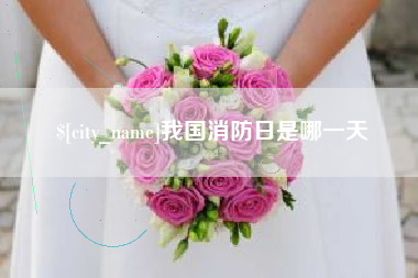 贺州我国消防日是哪一天