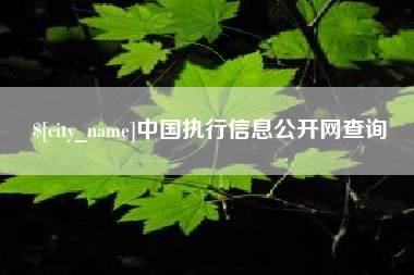 贺州中国执行信息公开网查询