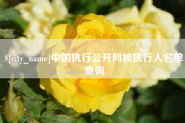 贺州中国执行公开网被执行人名单查询