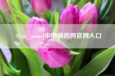 贺州中国消防网官网入口