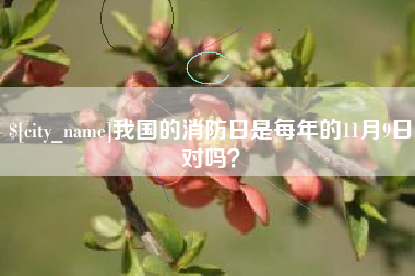 贺州我国的消防日是每年的11月9日对吗？