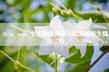 贺州中国消防救援学院湖南招生情况公布
