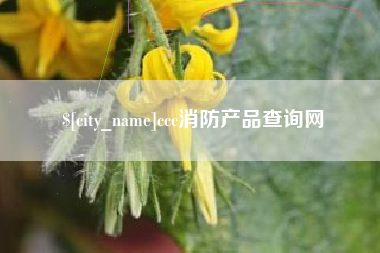 贺州ccc消防产品查询网