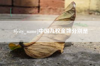 贺州中国九枚金牌分别是