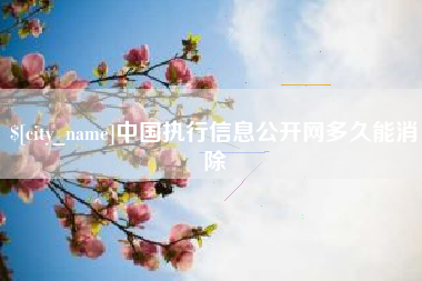 贺州中国执行信息公开网多久能消除