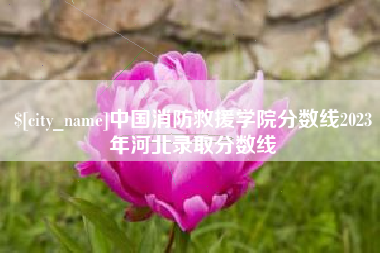 贺州中国消防救援学院分数线2023年河北录取分数线