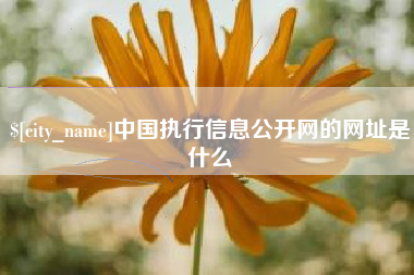 贺州中国执行信息公开网的网址是什么