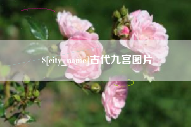 贺州古代九宫图片
