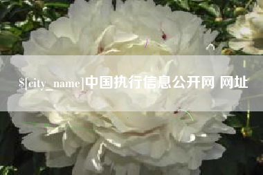 贺州中国执行信息公开网 网址