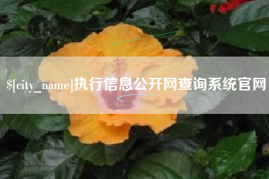 贺州执行信息公开网查询系统官网