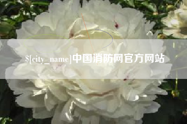 贺州中国消防网官方网站
