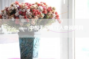 贺州中国失信执行人查询官网