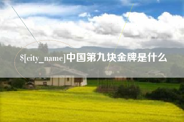 贺州中国第九块金牌是什么