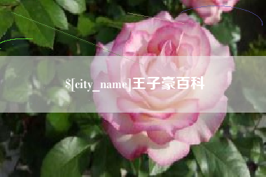 贺州王子豪百科