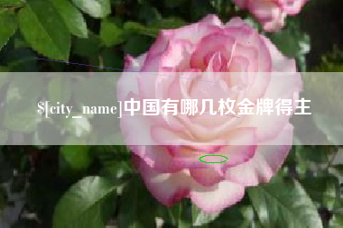 贺州中国有哪几枚金牌得主