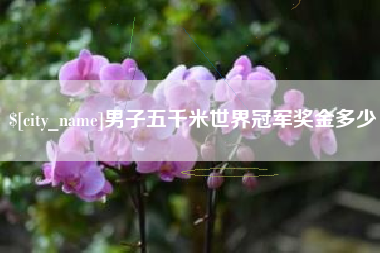 贺州男子五千米世界冠军奖金多少
