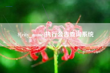 贺州执行公告查询系统