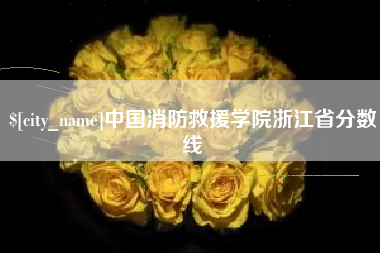 贺州中国消防救援学院浙江省分数线
