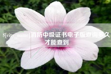 贺州消防中级证书电子版查询多久才能查到