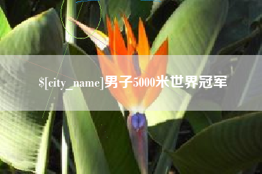 贺州男子5000米世界冠军