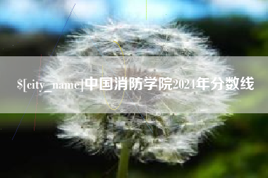 贺州中国消防学院2024年分数线