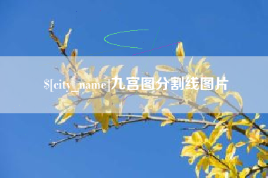 贺州九宫图分割线图片