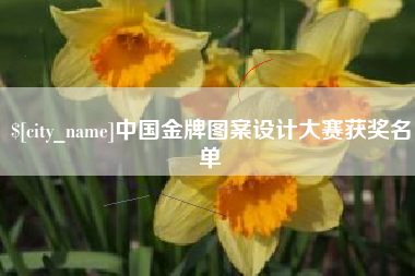 贺州中国金牌图案设计大赛获奖名单