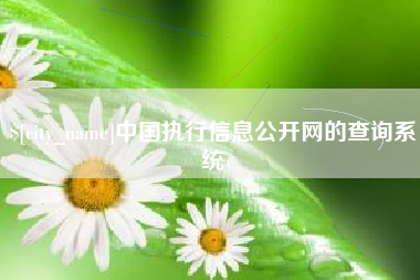 贺州中国执行信息公开网的查询系统