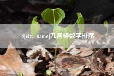贺州九宫格数字排序